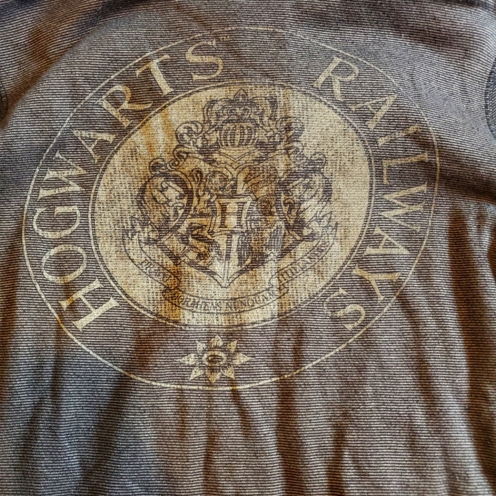 Official Wizarding World of Harry Potter Railways Hoodie